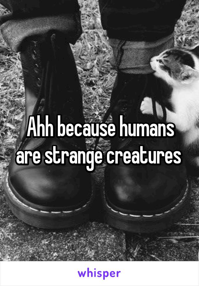 Ahh because humans are strange creatures 