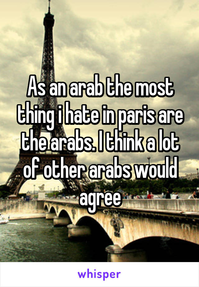 As an arab the most thing i hate in paris are the arabs. I think a lot of other arabs would agree