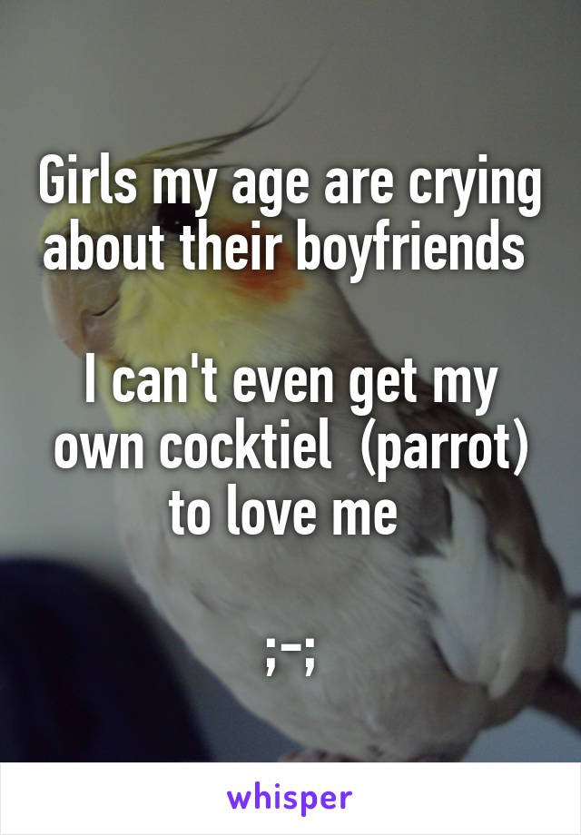 Girls my age are crying about their boyfriends 

I can't even get my own cocktiel  (parrot) to love me 

;-;