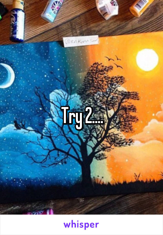 Try 2....