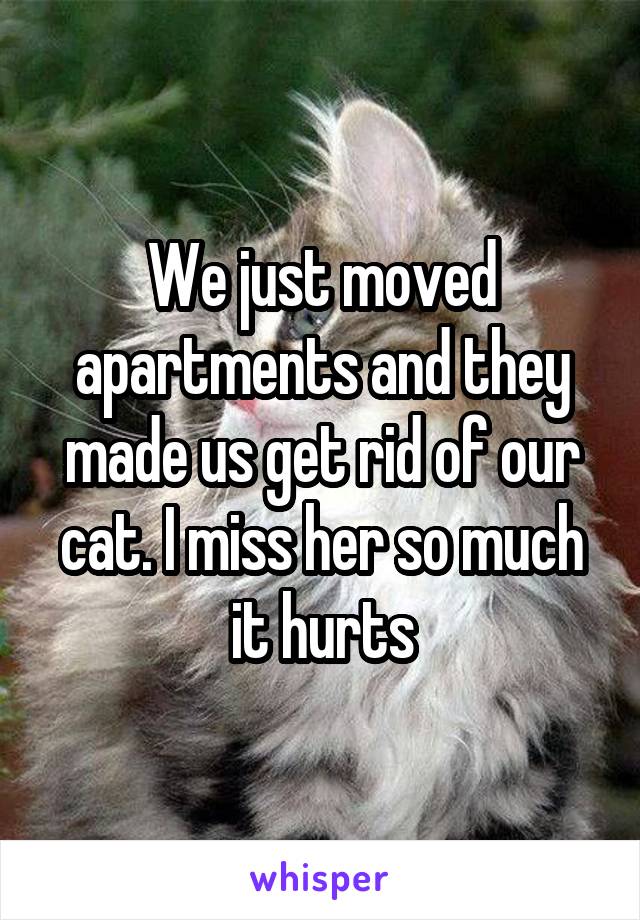 We just moved apartments and they made us get rid of our cat. I miss her so much it hurts