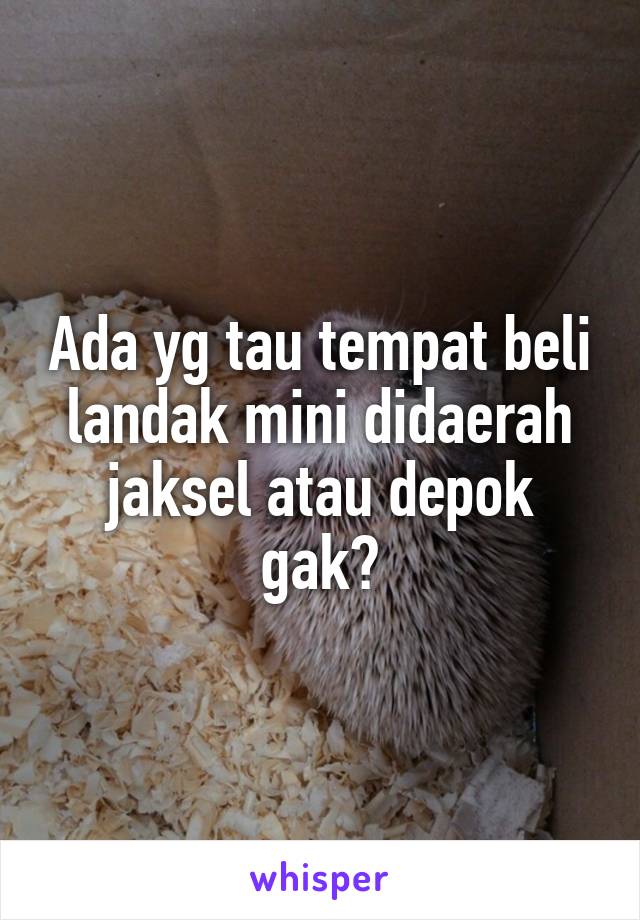 Ada yg tau tempat beli landak mini didaerah jaksel atau depok gak?