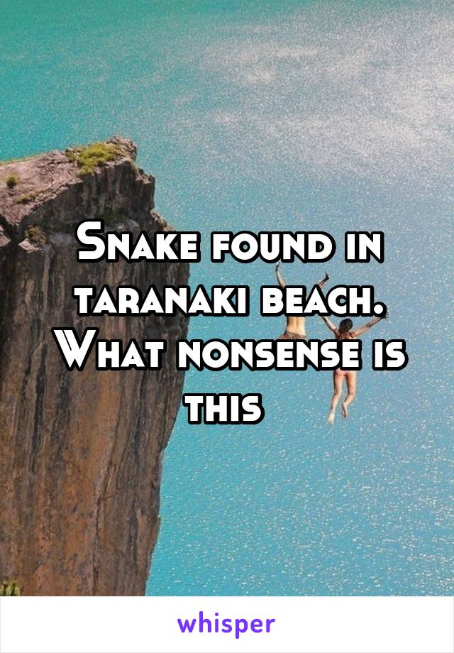 Snake found in taranaki beach. What nonsense is this 