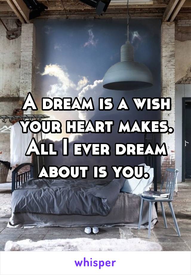 A dream is a wish your heart makes. All I ever dream about is you. 