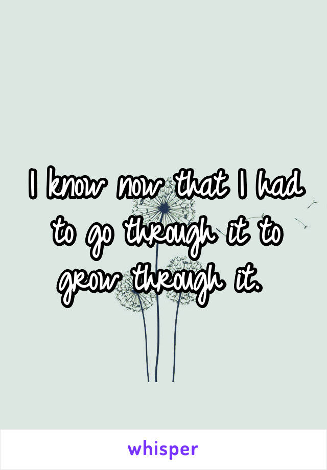 I know now that I had to go through it to grow through it. 