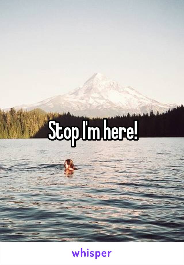 Stop I'm here!