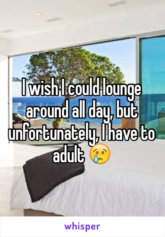 I wish I could lounge around all day, but unfortunately, I have to adult 😢