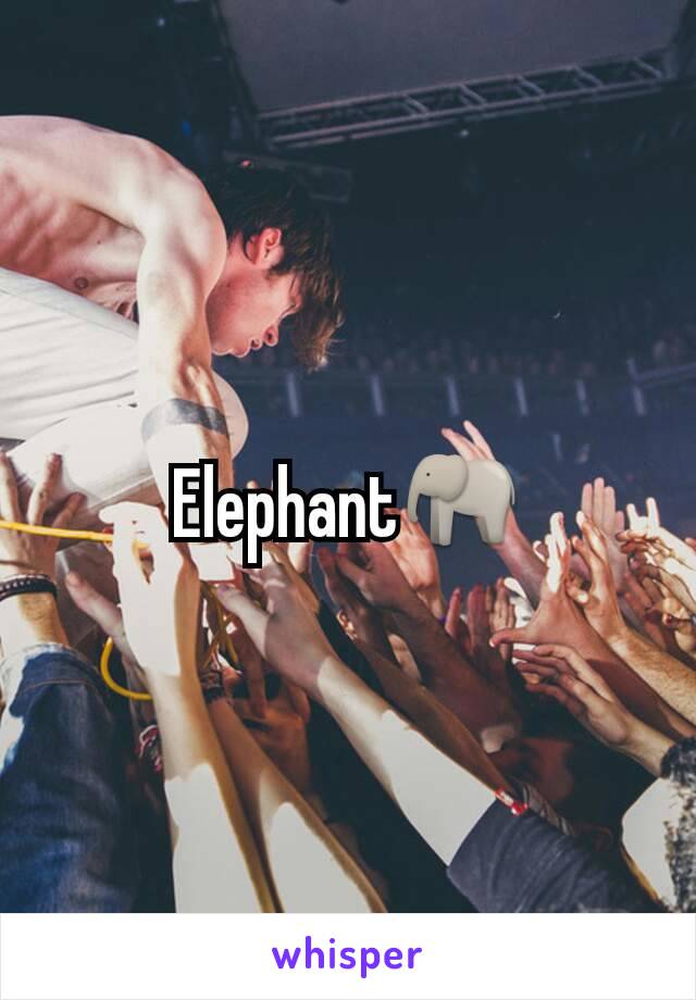 Elephant🐘