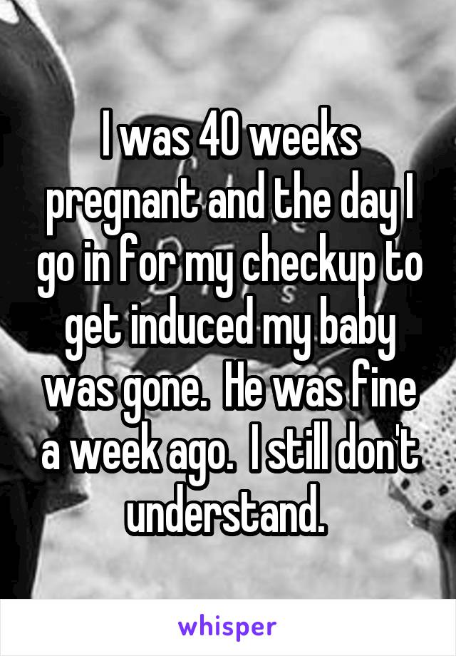 I was 40 weeks pregnant and the day I go in for my checkup to get induced my baby was gone.  He was fine a week ago.  I still don't understand. 