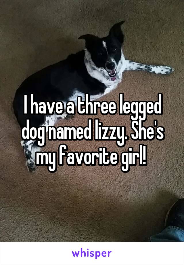 I have a three legged dog named lizzy. She's my favorite girl! 