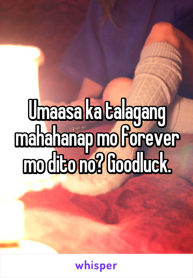 Umaasa ka talagang mahahanap mo forever mo dito no? Goodluck.