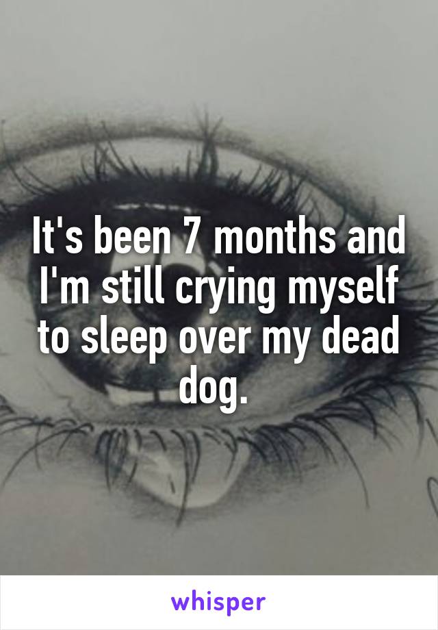 It's been 7 months and I'm still crying myself to sleep over my dead dog. 