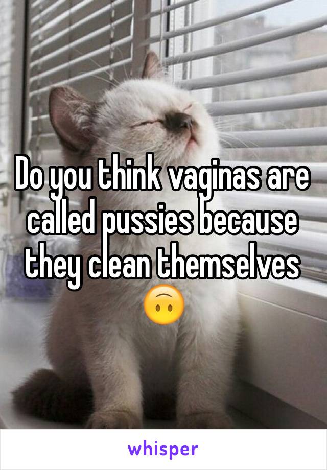 Do you think vaginas are called pussies because they clean themselves 🙃