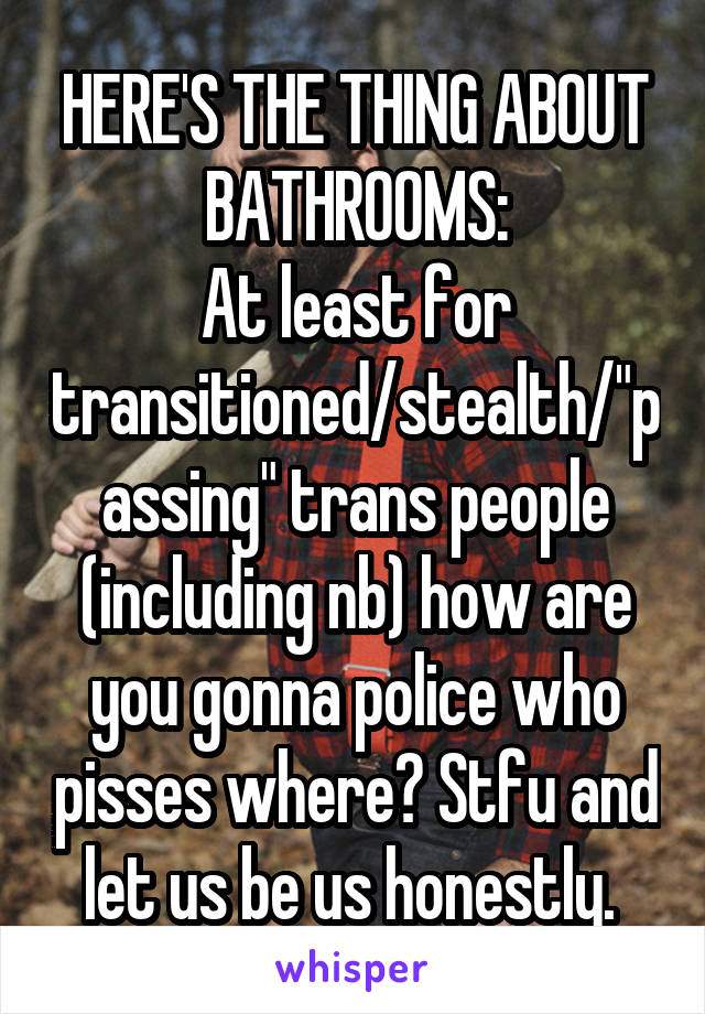 HERE'S THE THING ABOUT BATHROOMS:
At least for transitioned/stealth/"passing" trans people (including nb) how are you gonna police who pisses where? Stfu and let us be us honestly. 