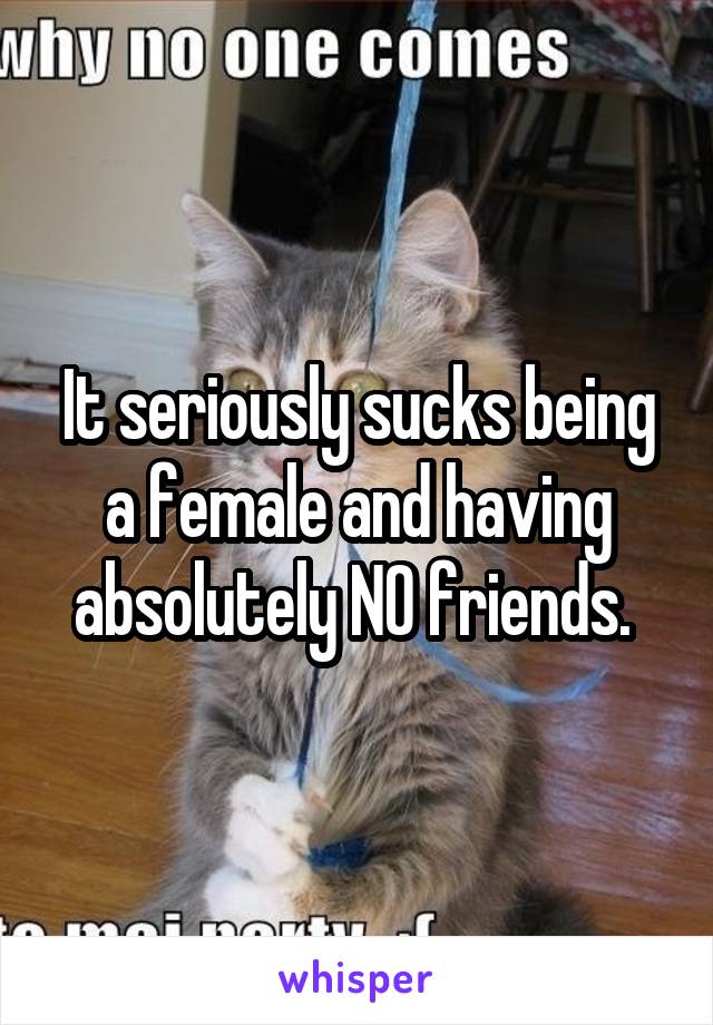 It seriously sucks being a female and having absolutely NO friends. 