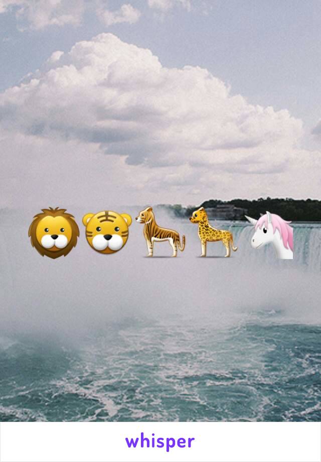 🦁🐯🐅🐆🦄