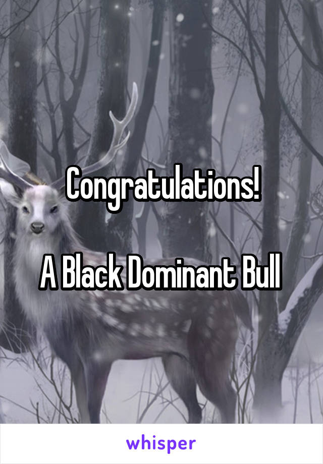 Congratulations!

A Black Dominant Bull 