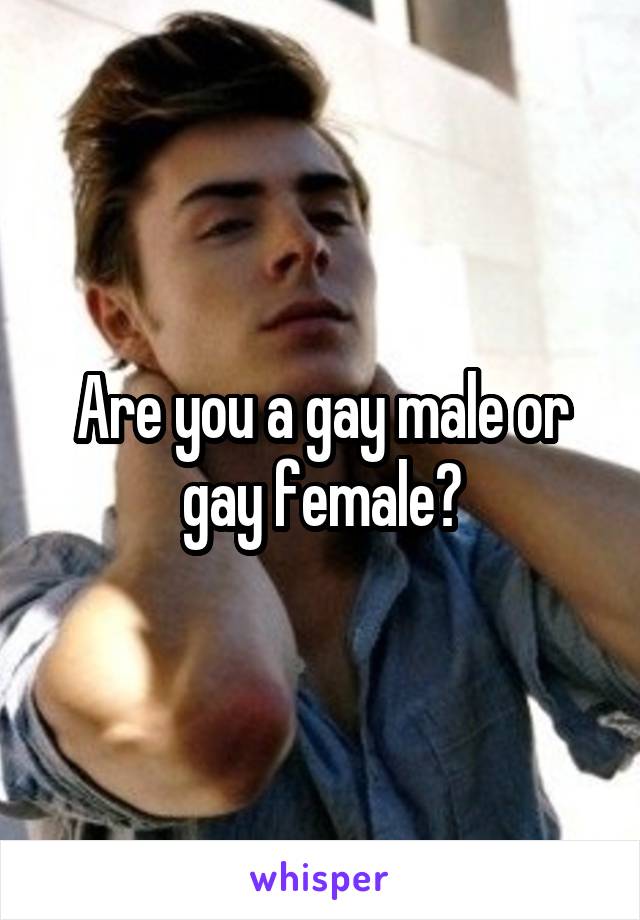 Are you a gay male or gay female?