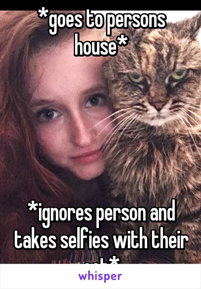 *goes to persons house*





*ignores person and takes selfies with their cat*