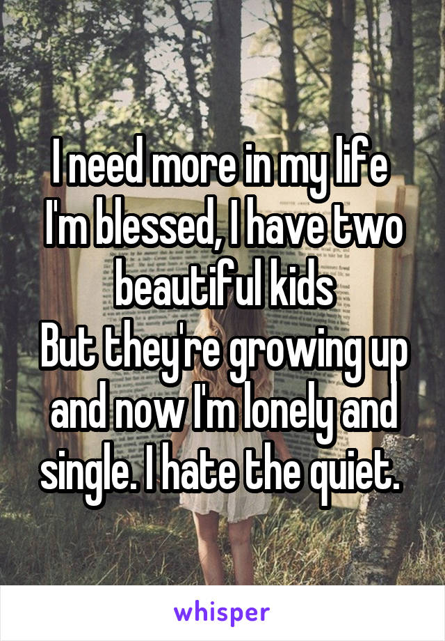 I need more in my life 
I'm blessed, I have two beautiful kids
But they're growing up and now I'm lonely and single. I hate the quiet. 