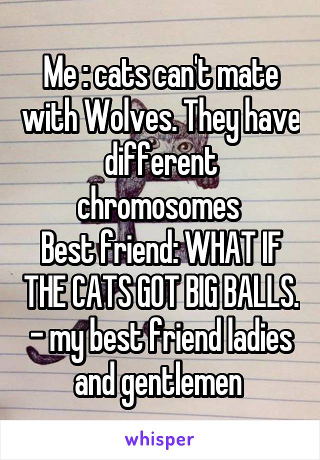 Me : cats can't mate with Wolves. They have different chromosomes 
Best friend: WHAT IF THE CATS GOT BIG BALLS.
- my best friend ladies and gentlemen 