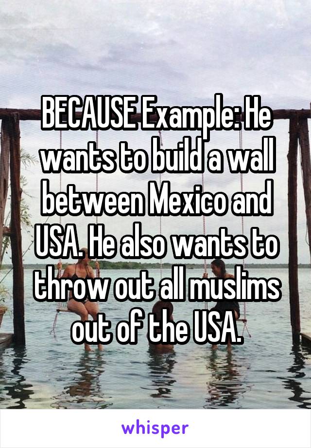 BECAUSE Example: He wants to build a wall between Mexico and USA. He also wants to throw out all muslims out of the USA.