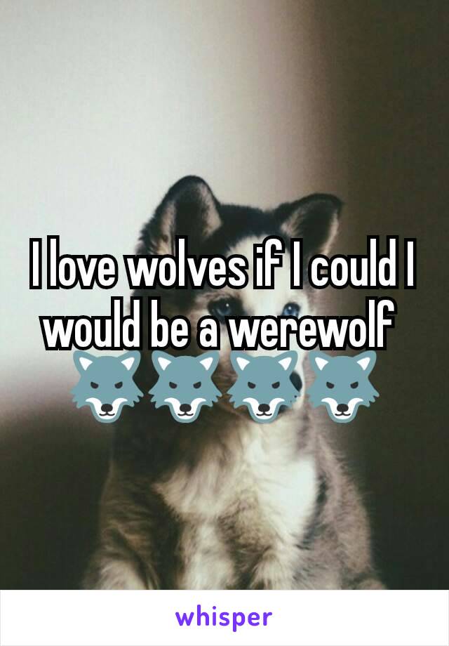I love wolves if I could I would be a werewolf 
🐺🐺🐺🐺