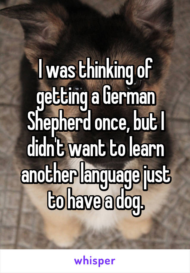 I was thinking of getting a German Shepherd once, but I didn't want to learn another language just to have a dog.