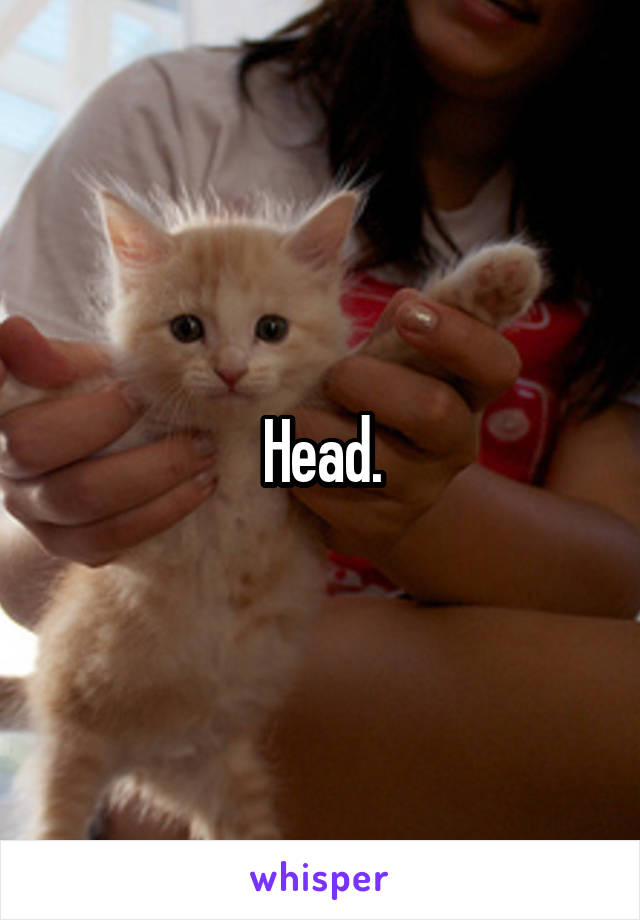 Head.