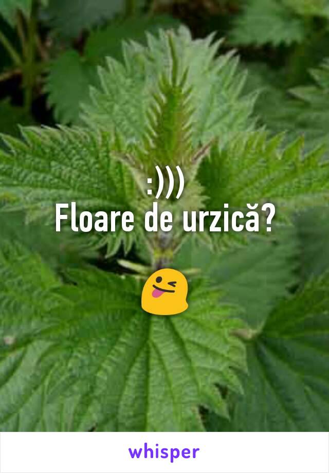 :)))
Floare de urzică?

😜