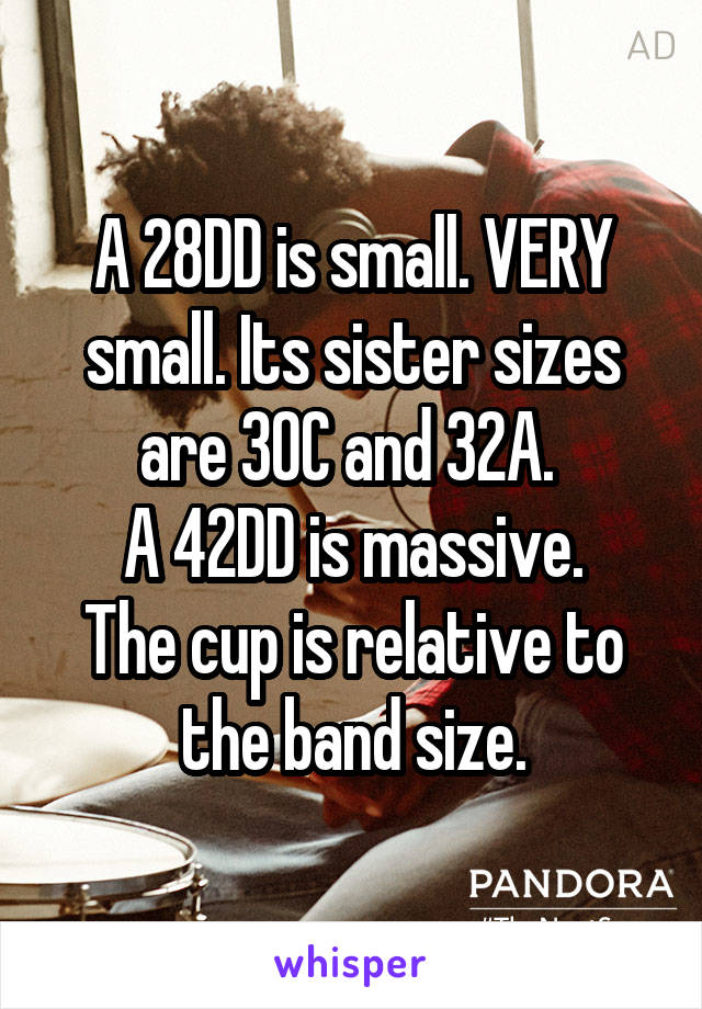 A 28DD is small. VERY small. Its sister sizes are 30C and 32A. A 42DD is