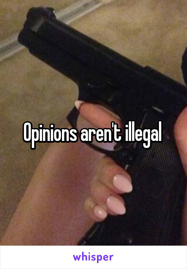 Opinions aren't illegal 