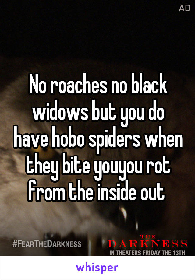 No roaches no black widows but you do have hobo spiders when they bite youyou rot from the inside out 