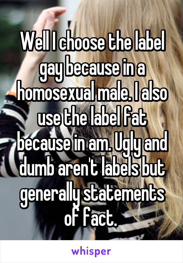 Well I choose the label gay because in a homosexual male. I also use the label fat because in am. Ugly and dumb aren't labels but generally statements of fact. 