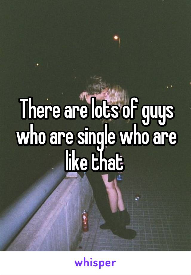 There are lots of guys who are single who are like that 