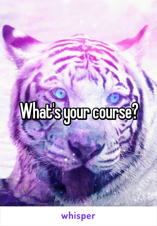 What's your course?