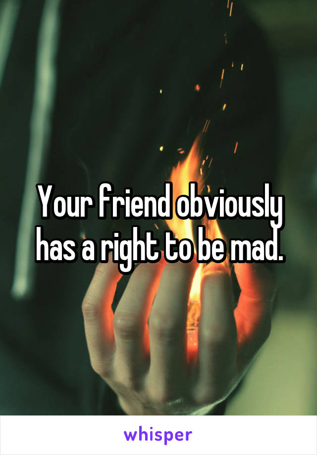 Your friend obviously has a right to be mad.