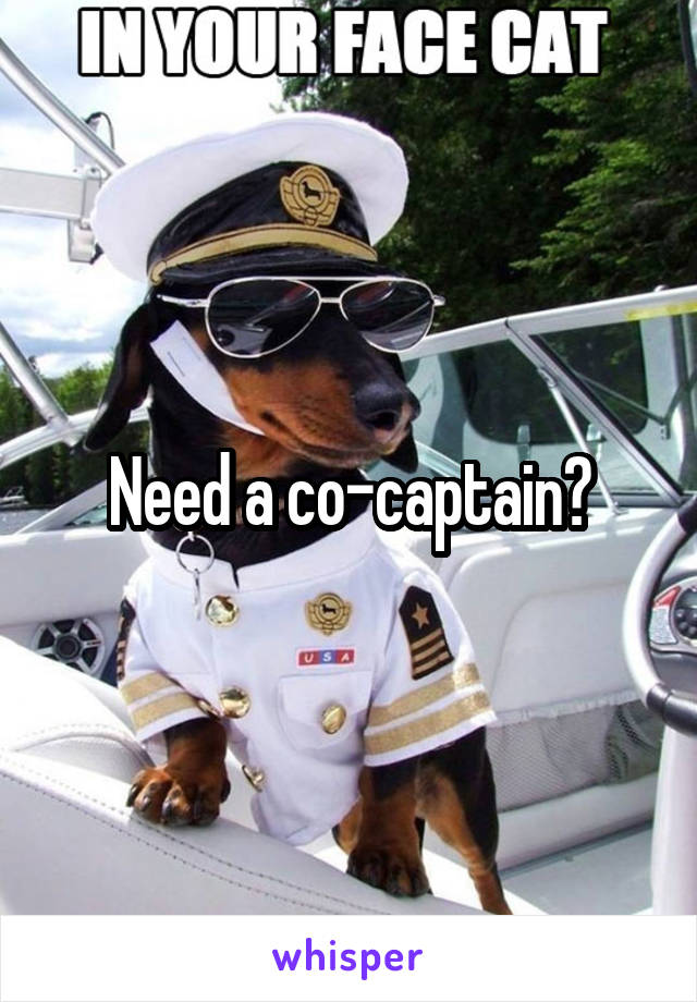 Need a co-captain?