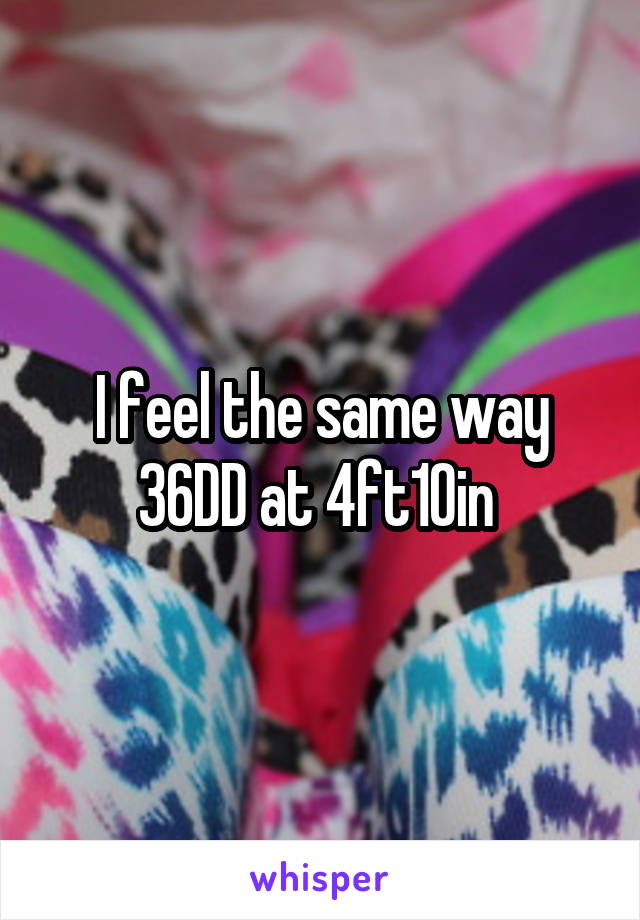 I feel the same way 36DD at 4ft10in 