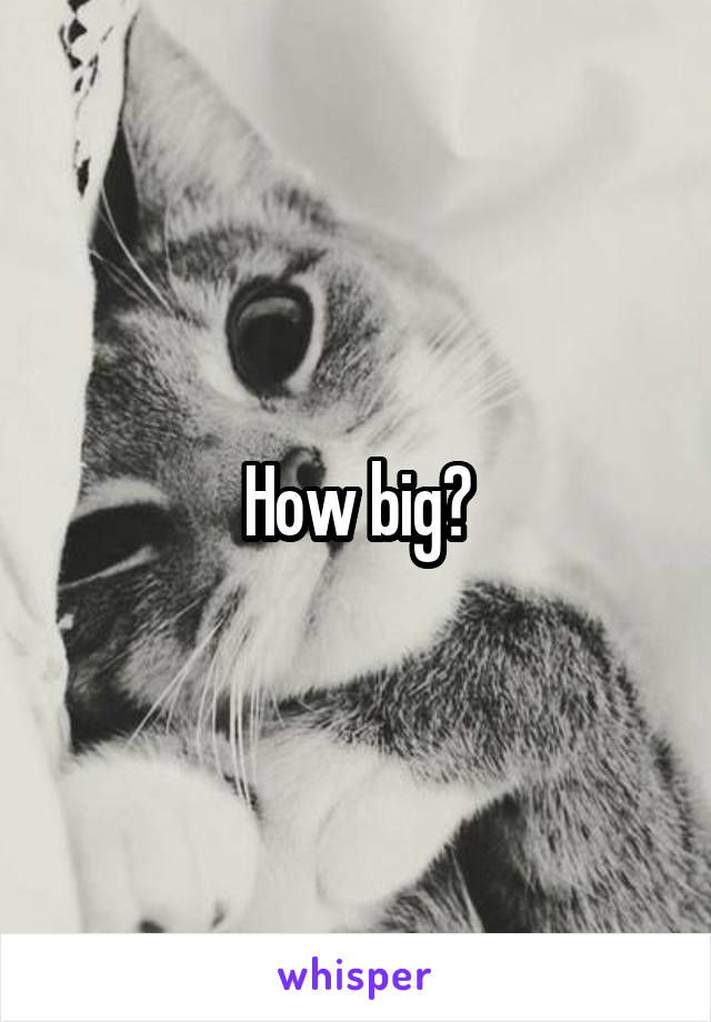 How big?