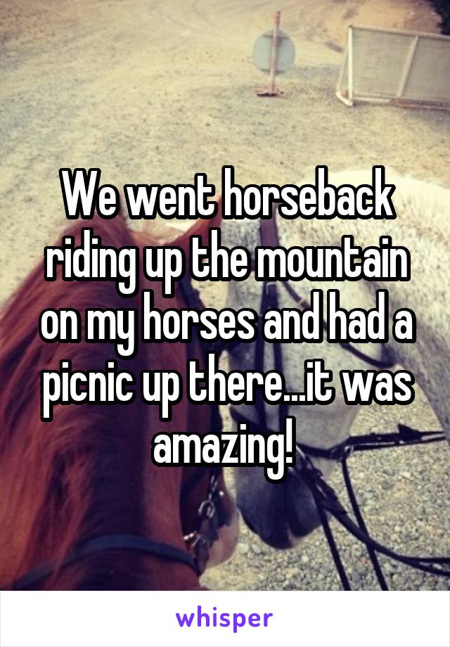 We went horseback riding up the mountain on my horses and had a picnic up there...it was amazing! 