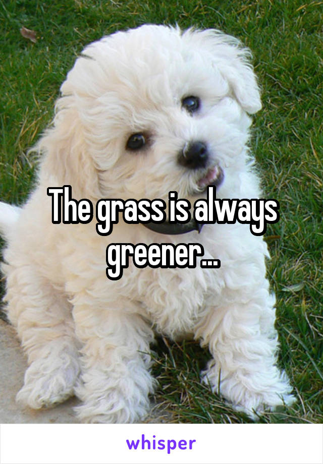 The grass is always greener...
