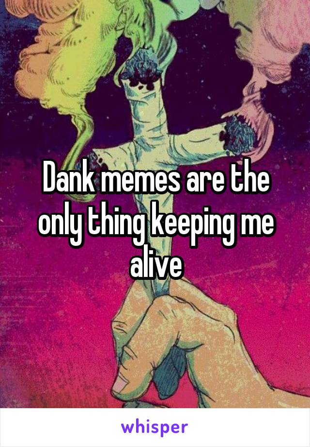 Dank memes are the only thing keeping me alive