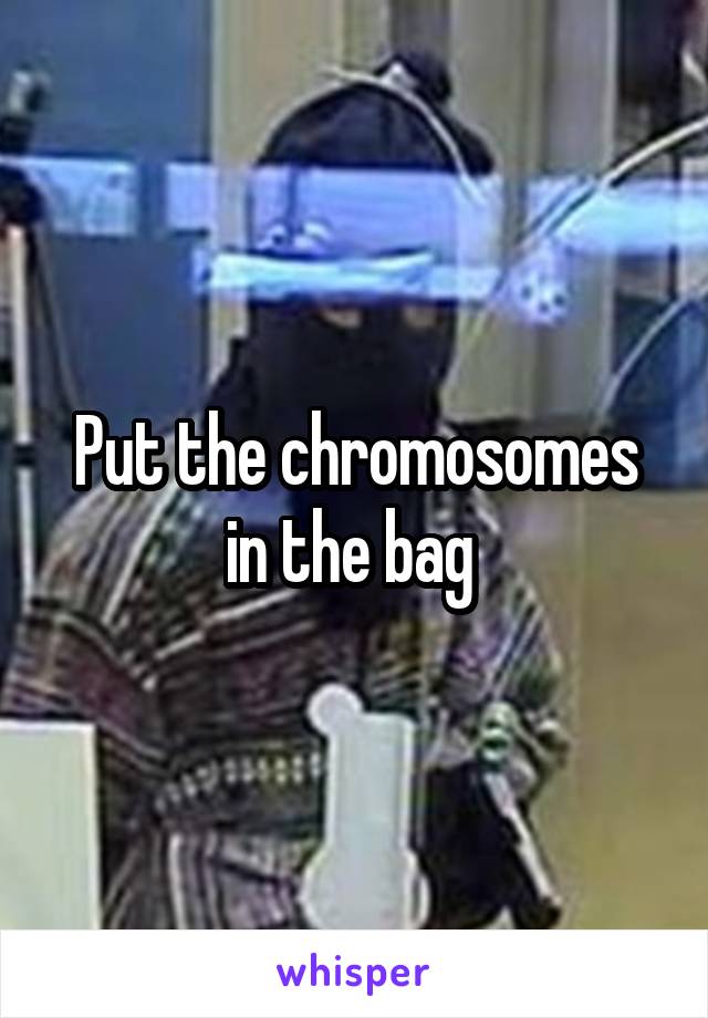 Put the chromosomes in the bag 