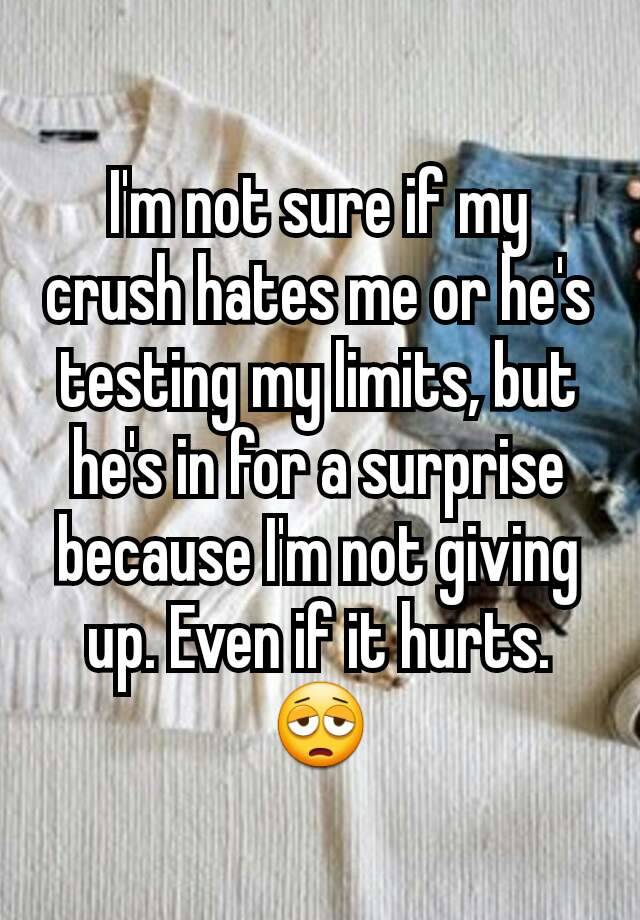 i-m-not-sure-if-my-crush-hates-me-or-he-s-testing-my-limits-but-he-s