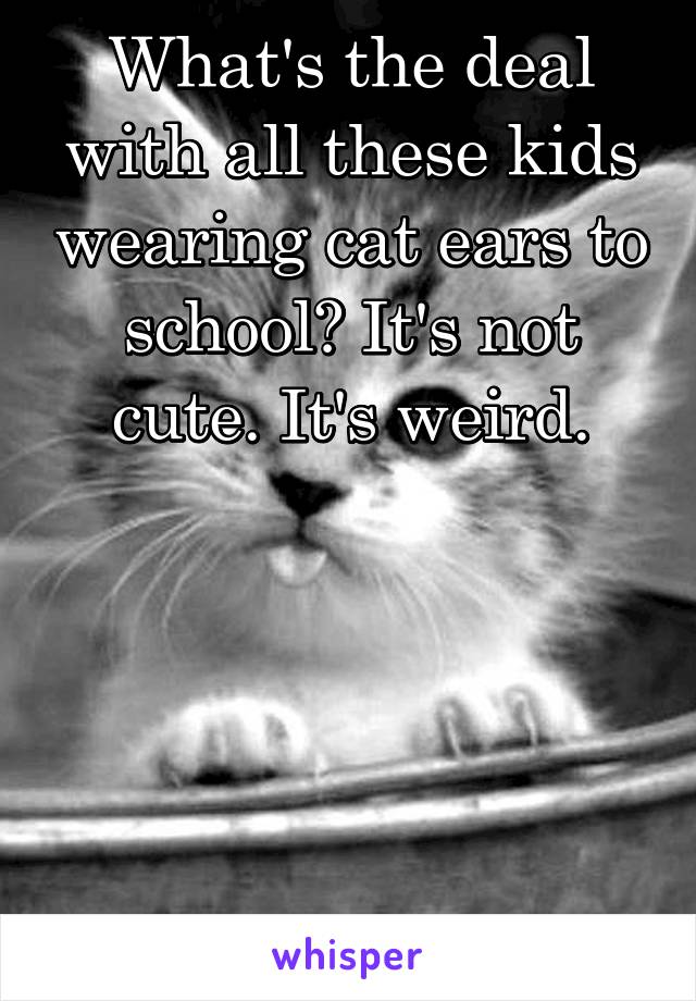 What's the deal with all these kids wearing cat ears to school? It's not cute. It's weird.




 
