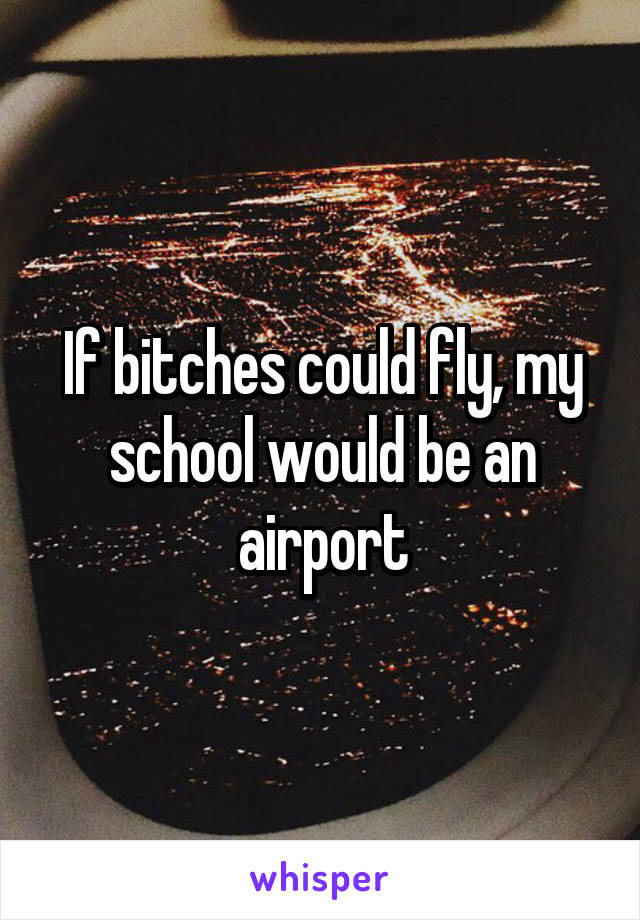 If bitches could fly, my school would be an airport
