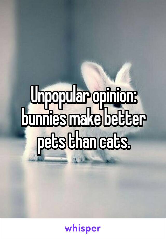 Unpopular opinion: bunnies make better pets than cats.