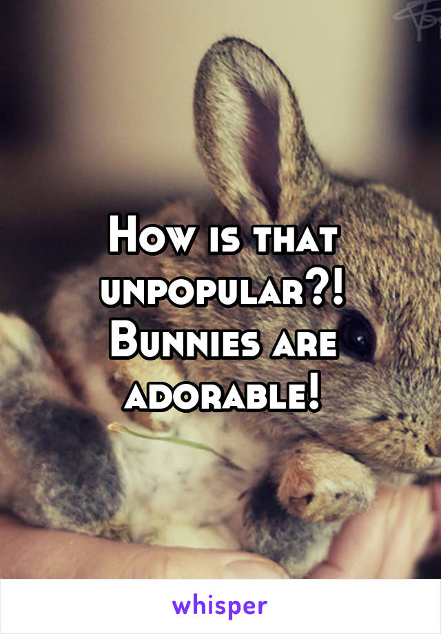 How is that unpopular?! Bunnies are adorable!