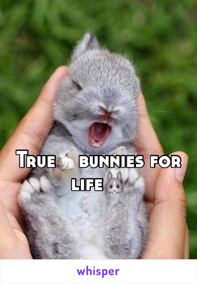 True🐇bunnies for life🐰